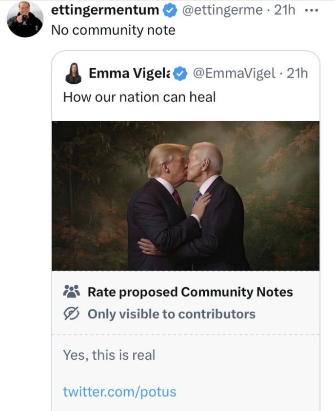 screenshot - ettingermentum No community note Emma Vigela 21h 21h How our nation can heal Rate proposed Community Notes Only visible to contributors Yes, this is real twitter.compotus